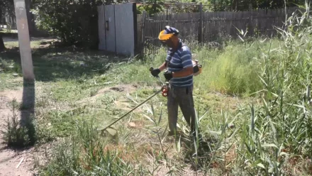 В Правобережье Астрахани намерены скосить более 300 тысяч кв. м сорняков