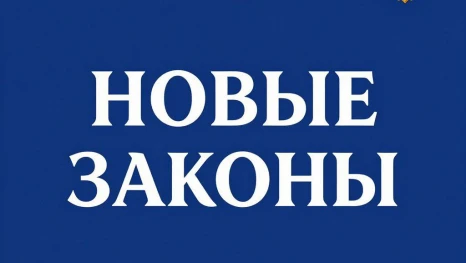 Какие законы РФ вступают в силу с сегодняшнего дня