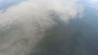 В Астрахани выявлено загрязнение Кривой Болды