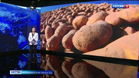 Астраханский картофель на прилавках появится к 1 июля