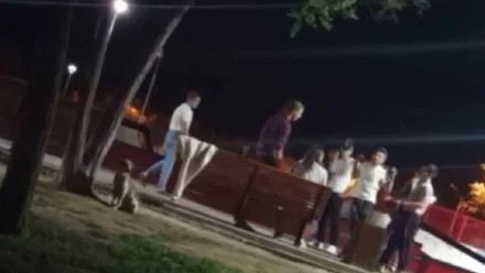 В Астрахани возбуждено дело за избиение подростков в скейт-парке