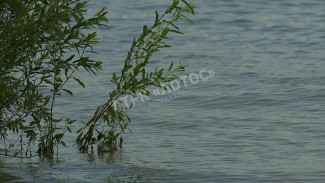 В Астраханской области утонул турист из Орла