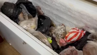 Две астраханки получили срок за продажу осетров полицейским 