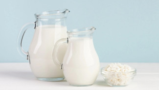 В Астрахань везли молоко, творог и масло неизвестного происхождения