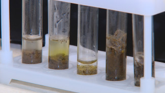 Астраханские школьники провели исследования почвы региона