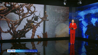 Астраханцам рассказали про опасных обитателей региона