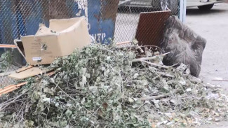 В Астраханской области хотят штрафовать за складирование мусора и веток