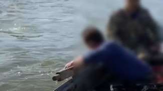 Полицейские задержали двух астраханцев за незаконный вылов рыбы