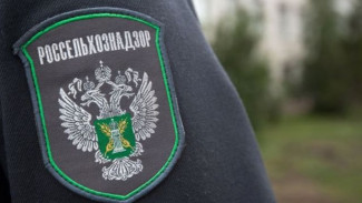 В Астраханской области с арендатора взыскали 4,4 млн рублей за причиненный почве ущерб