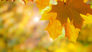 В Астрахани в понедельник ожидается малооблачная погода 