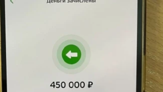 В Астрахани раскрыли 24 эпизода крупной мошеннической схемы с материнским капиталом