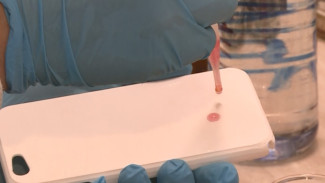 Астраханские школьники разработали действенное обеззараживающее средство