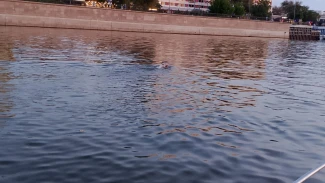 В Астрахани спасатели помогли мужчине, который чуть не утонул в Волге