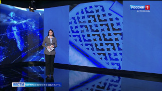 Неравнодушные астраханцы спасли котят, оказавшихся внутри труб на глубине нескольких метров