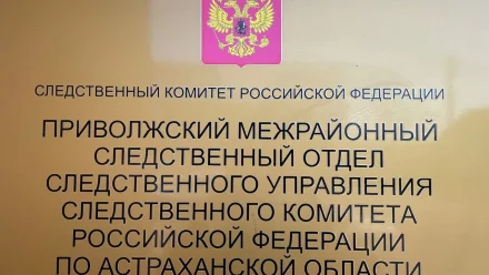В Астрахани семейная пара потратила выплату на развитие бизнеса на себя