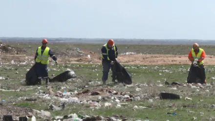 В Астраханской области Россельхознадзор обнаружил незаконную свалку на площади 1,5 га
