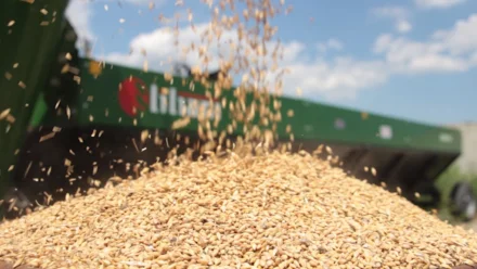 В Астрахани на станции Кутум появилась установка для погрузки и выгрузки зерна