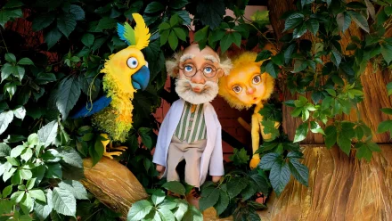 Какие культурные мероприятия пройдут в Астрахани