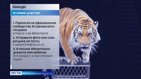 Астраханский государственный цирк вместе с ГТРК "Лотос" запускает творческий конкурс цирковых рисунков