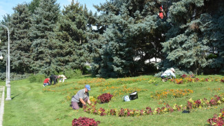 В Астрахани на площади Ленина привели в порядок цветники