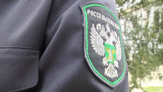 В Астраханской области продавали рыбную продукцию без маркировки и документов