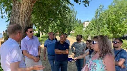 В Астрахани на Комсомольской набережной подлежат сносу только 9 тополей