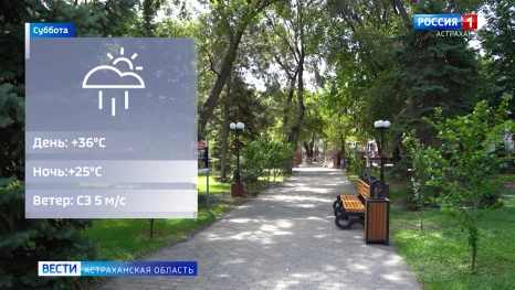 Какая погода ждет астраханцев во вторую неделю июля