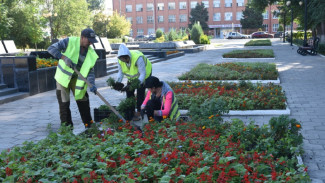Астрахань будут озеленять многолетними растениями