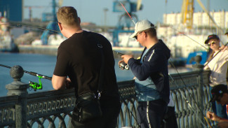 В Астраханской области с 16 мая введён нерестовый запрет