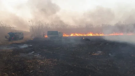 Астраханский губернатор поручил главам районов предотвращать природные пожары 