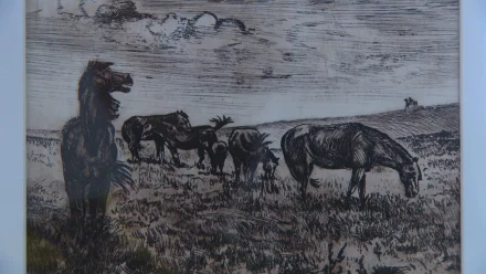 В Астраханском краеведческом музее открылась выставка художника Виктора Совы