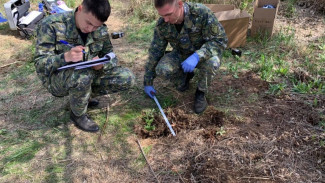 Во время оккультного обряда убили ранее пропавшего жителя Астрахани