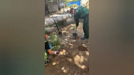 В Астрахани суд обязал «Астрводоканал» выплатить 4,4 млн рублей за вред почве