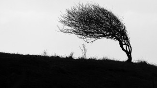 В Астраханской области ожидается усиление ветра до 20 м/с