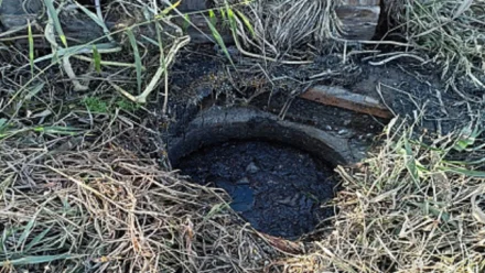 Под Астраханью организацию оштрафовали за загрязнение почвы фекалиями