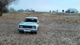 Под Астраханью из-за лошади в ДТП пострадали четыре человека