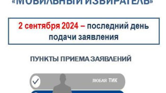 Астраханский избирком напомнил о завершении работы сервиса «Мобильный избиратель»