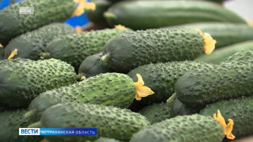 Астраханский стол вряд ли понравится диетологам