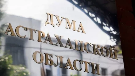 Астраханские депутаты поддержали федеральную инициативу о статусе некоторых участников СВО
