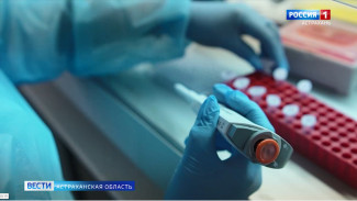63 миллиона рублей получат астраханские ученые на разработку методов борьбы с инфекциями
