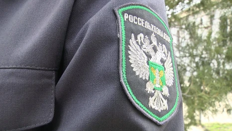 В Астраханской области продавали рыбную продукцию без маркировки и документов