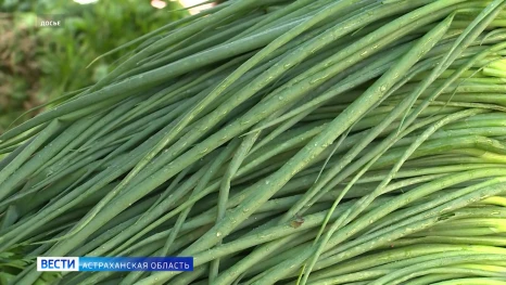 Какие продукты стали дешевле для астраханцев в середине июня