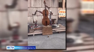 Коты, роботы и Астраханский регион из космоса - что еще интересного можно найти в сети?