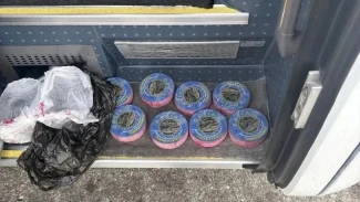 В Астраханской области водитель автобуса пытался незаконно перевезти 2 кг чёрной икры 