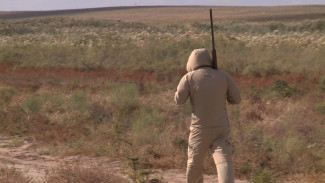 На кого можно охотиться в Астраханской области с 1 ноября