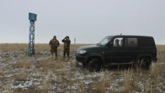 Астраханский заказник поделился кадрами с мчащимся стадом сайгаков