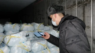 Через Астраханскую область не пустили мороженую рыбу, а в регион – непищевое сырьё