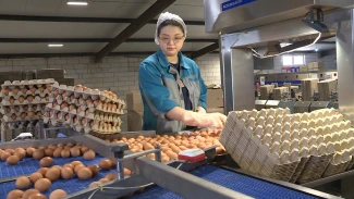 Как изменилась работа птицефабрики в Астраханской области за 50 лет работы