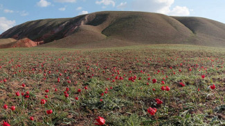Россиянам советуют провести майские праздники в Астраханской области