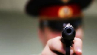 Под Астраханью участковый применил оружие против агрессивной собаки